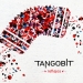Tangobit - Reflejos
